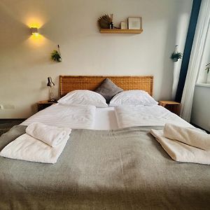 Gemuetliche Wohnung Naehe Hauptbahnhof Und Zentrum